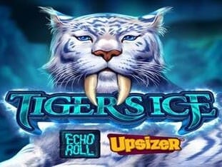 Tigers Ice screenshot